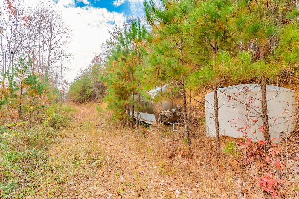 361 Liberty Church Road Old Fort, TN 37362 - Photo 79 of 100 Gallery Image 79