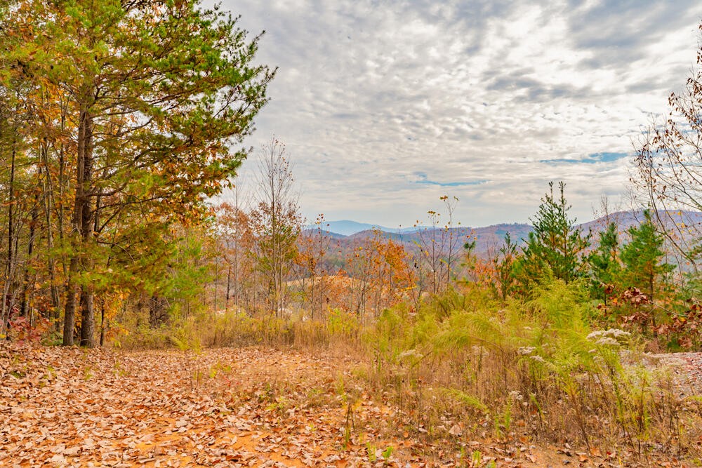 361 Liberty Church Road Old Fort, TN 37362 - Photo 81 of 100 Gallery Image 81