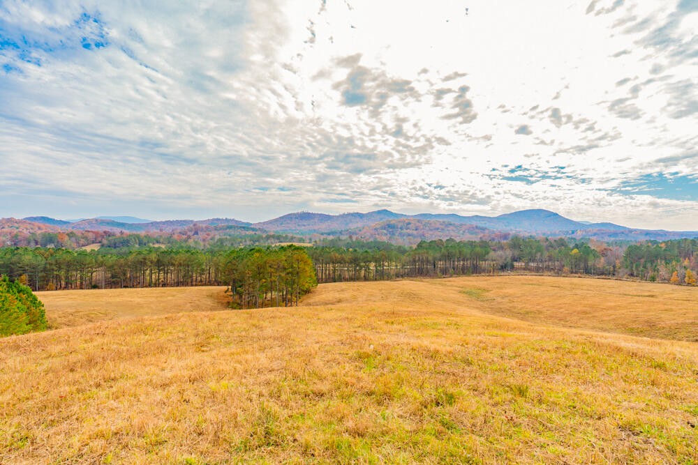361 Liberty Church Road Old Fort, TN 37362 - Photo 94 of 100 Gallery Image 94