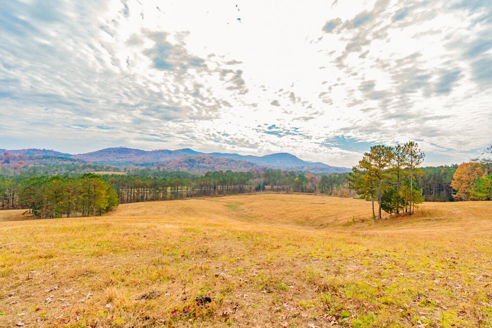 361 Liberty Church Road Old Fort, TN 37362 - Photo 95 of 100 Gallery Image 95