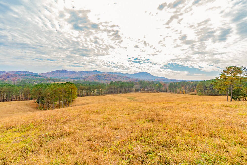 361 Liberty Church Road Old Fort, TN 37362 - Photo 97 of 100 Gallery Image 97