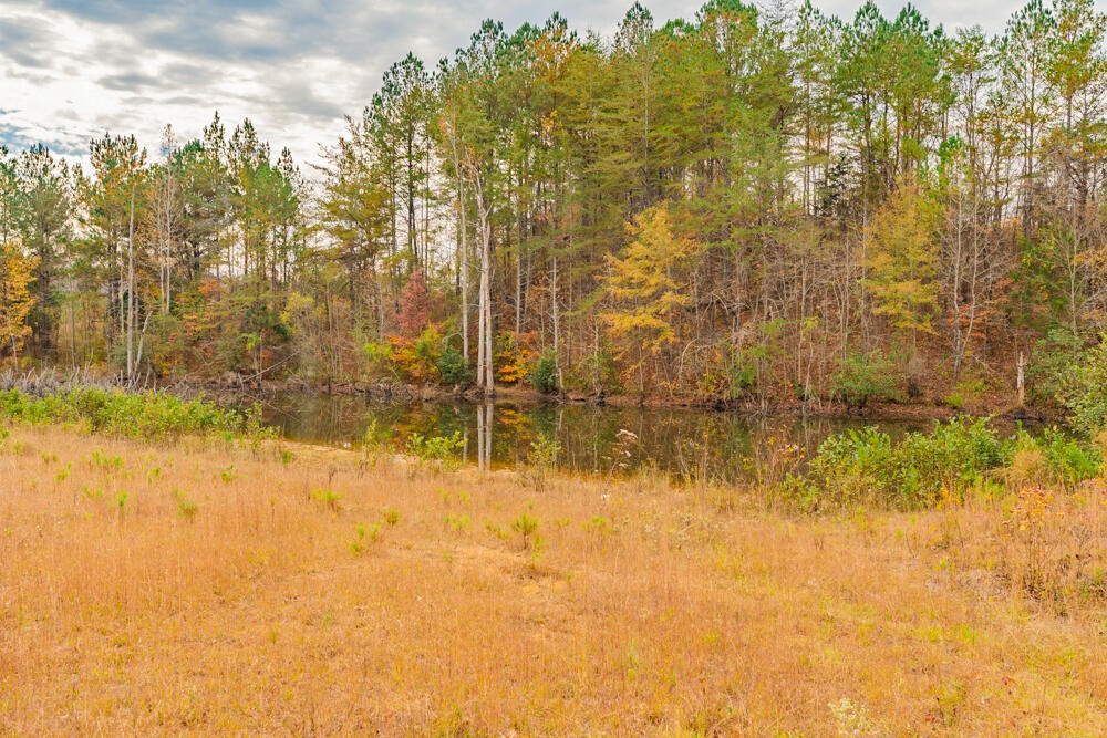 361 Liberty Church Road Old Fort, TN 37362 - Photo 98 of 100 Gallery Image 98