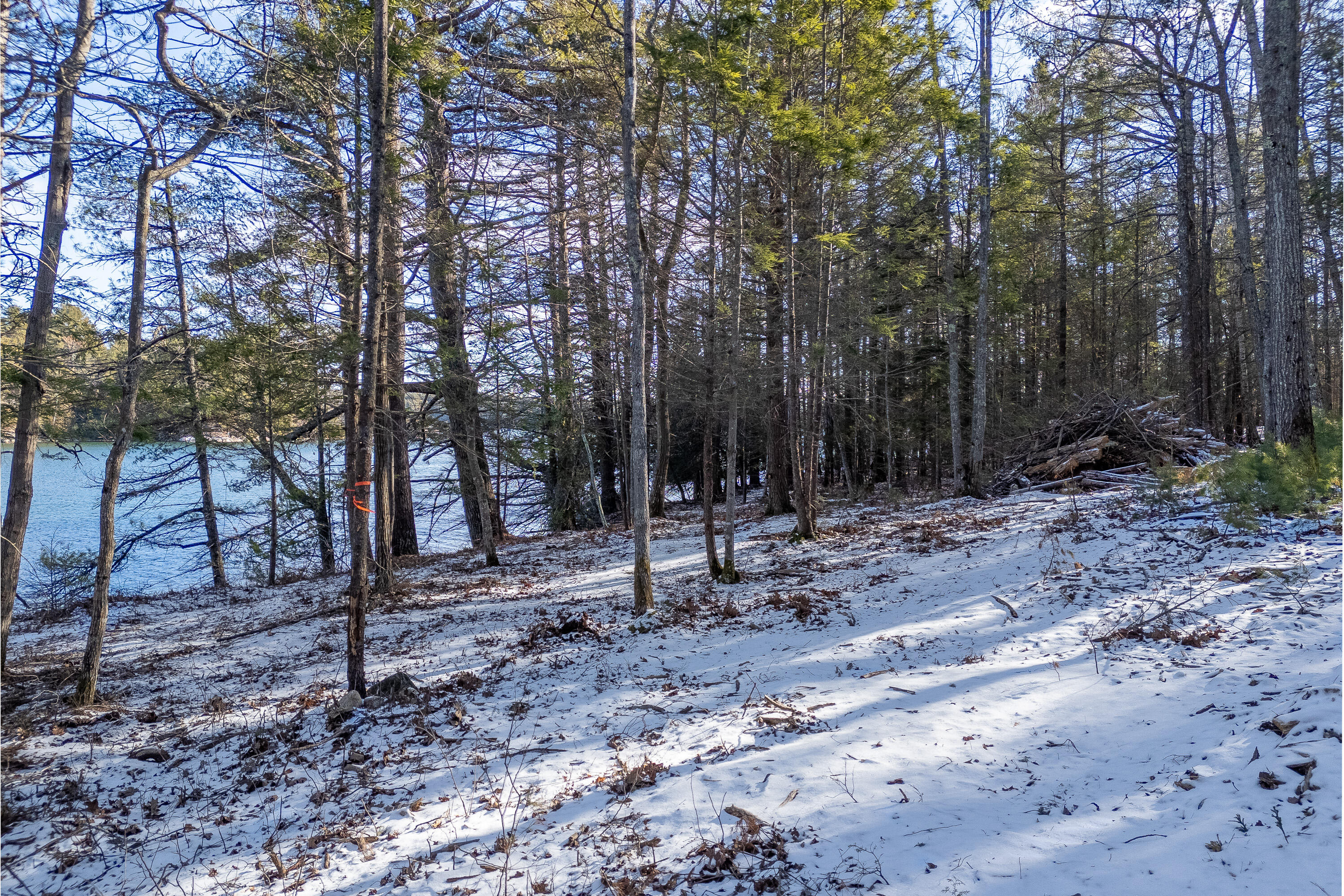 0 Webber Road Georgetown, ME 04548 - Photo 16 of 27 0 Webber Rd_114