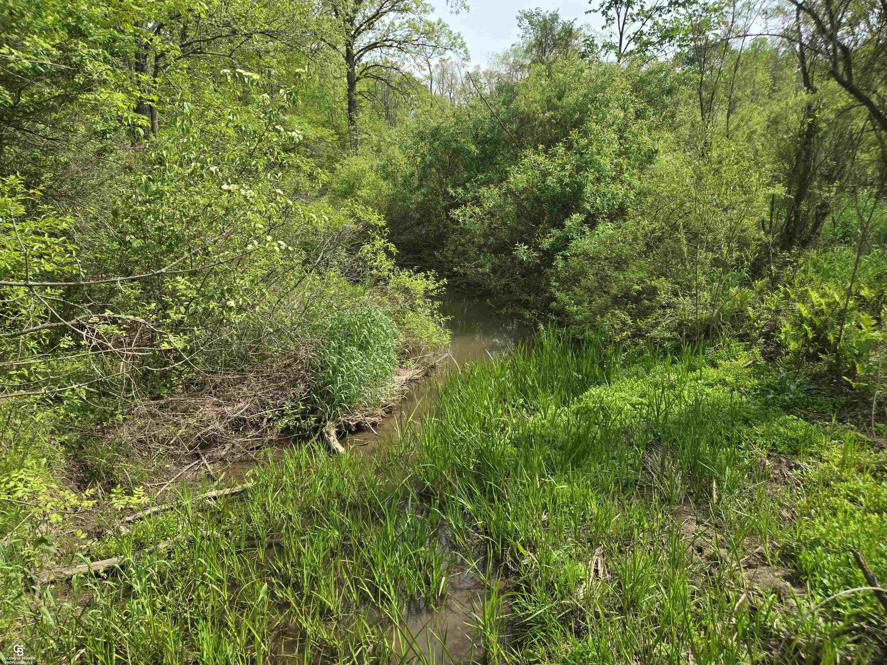 4179 Kilgore Road Avoca, MI 48006 - Photo 11 of 23