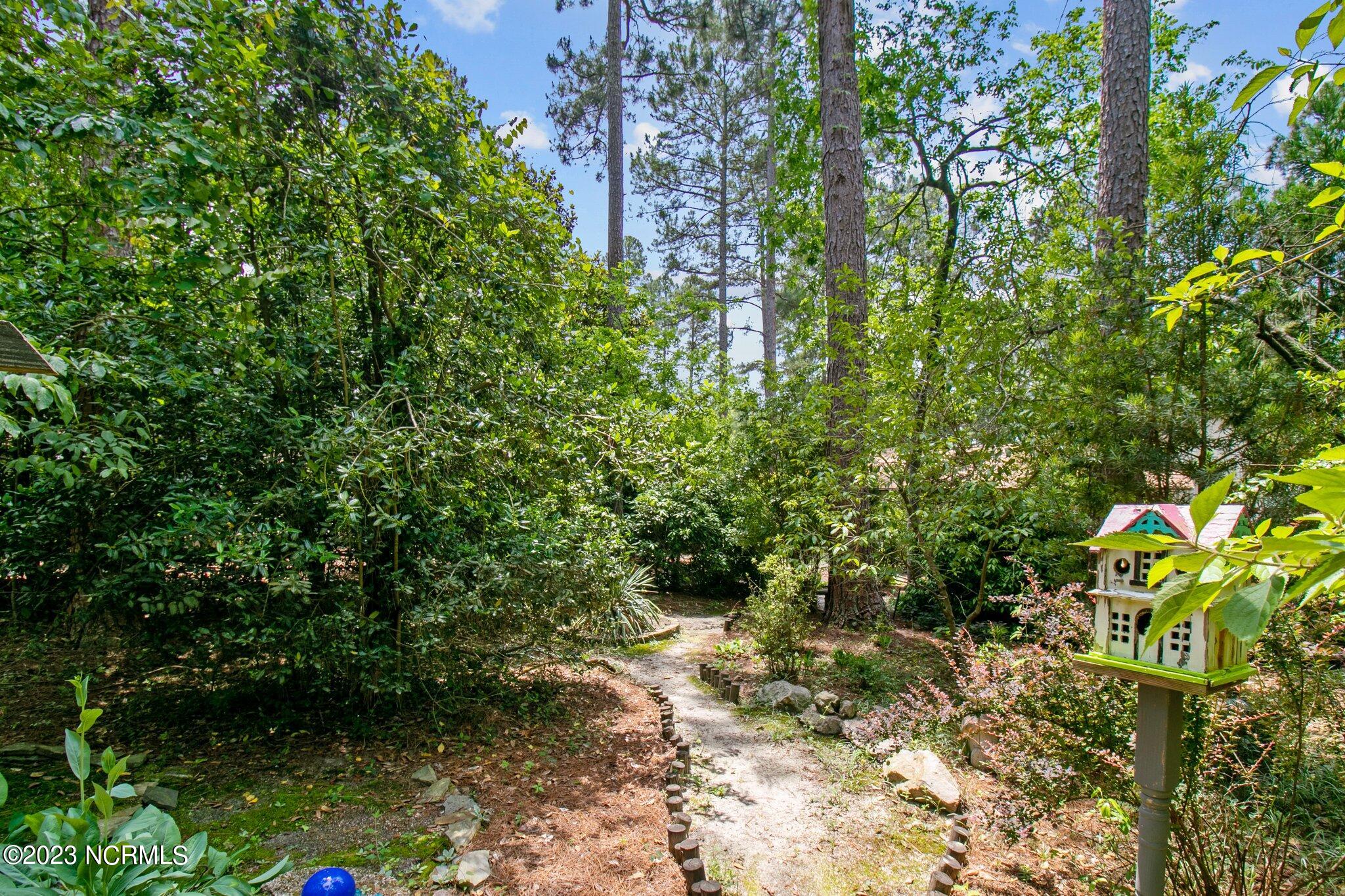 10 Apawamis Road Pinehurst, NC 28374 - Photo 57 of 73 Garden pathway to backyard