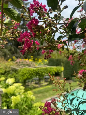 a view of a lush green hillside and houses