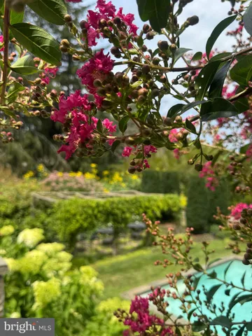 a view of a lush green hillside and houses