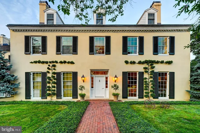 a view of a deck with a big yard potted plants and large tree