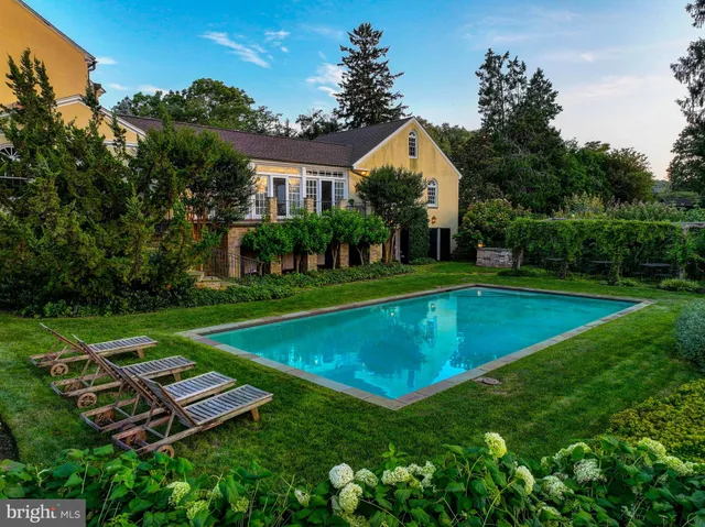 a view of a flower arrangement in a garden