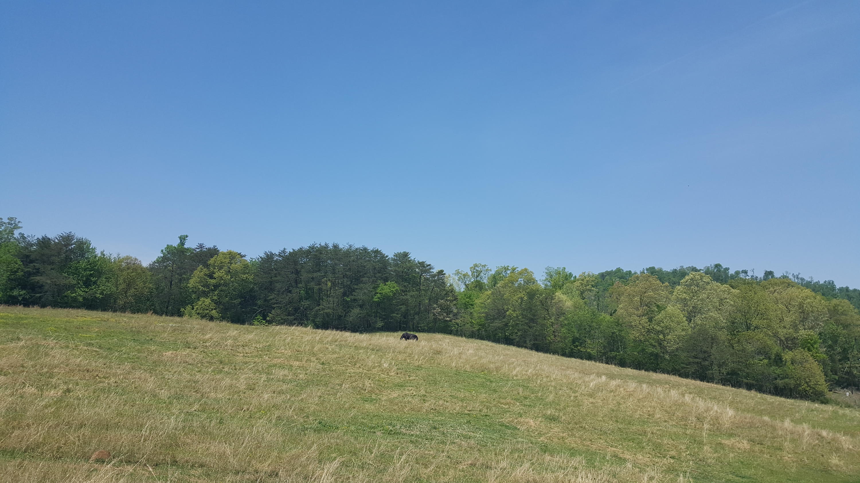 1 Fairview Road Tellico Plains, TN 37385 - Photo 14 of 34 20180502_130351