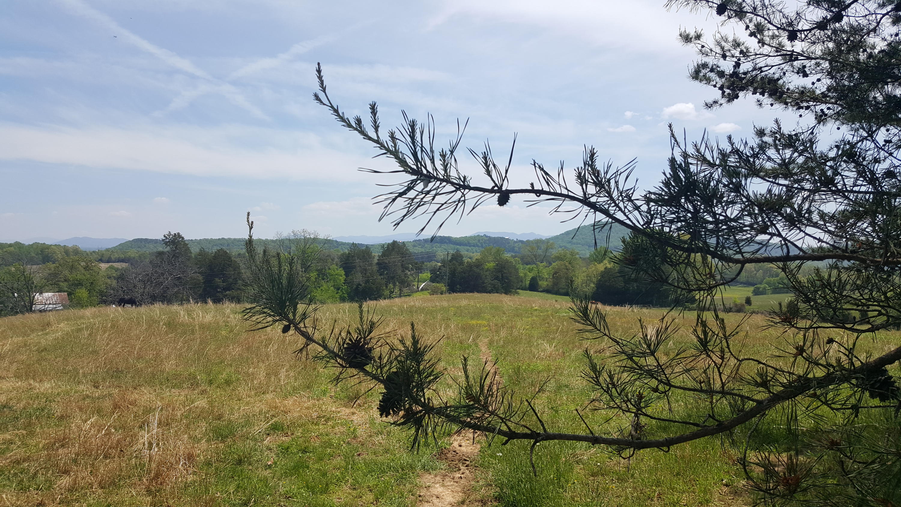 1 Fairview Road Tellico Plains, TN 37385 - Photo 3 of 34 20180502_131242
