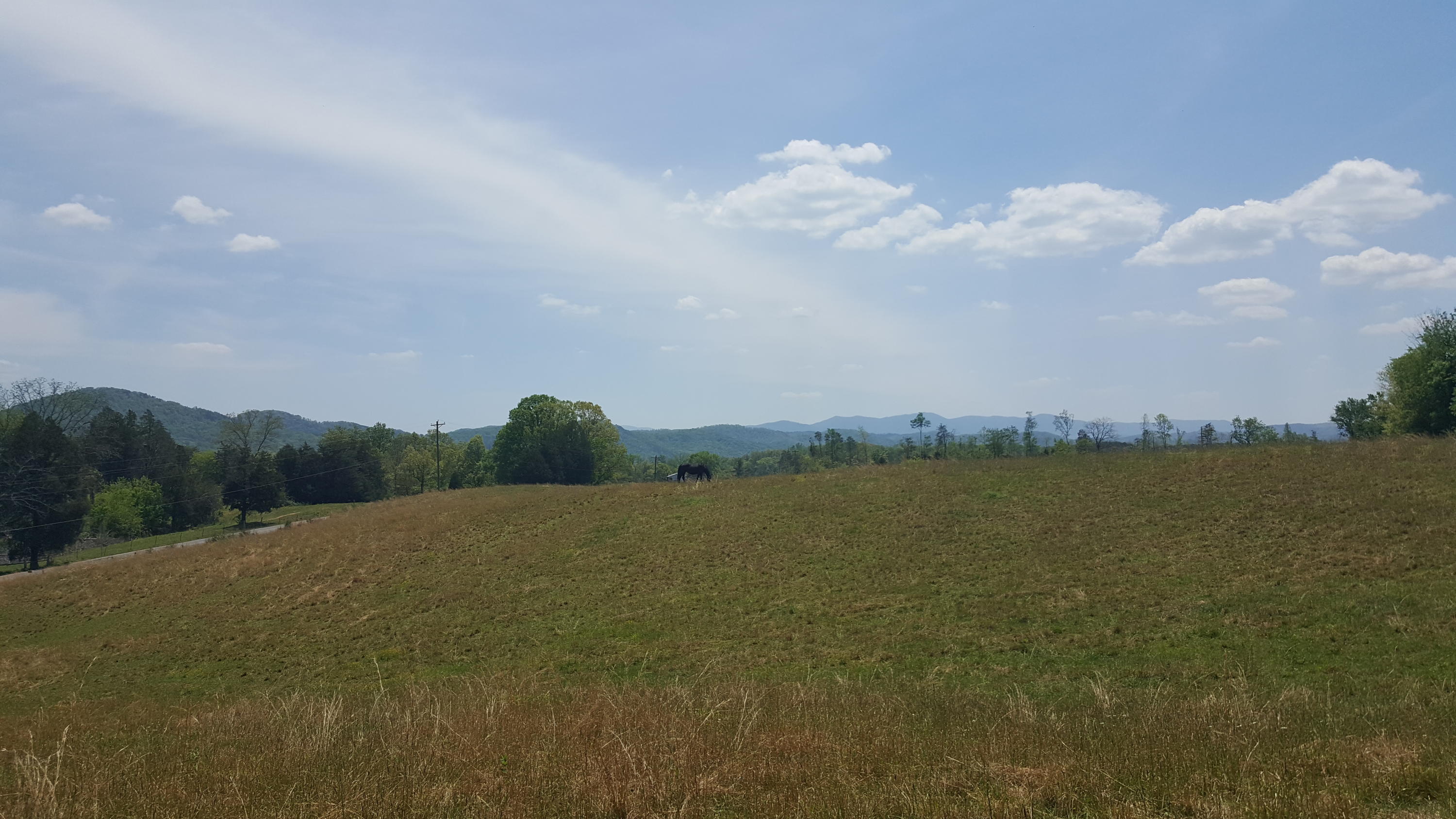 1 Fairview Road Tellico Plains, TN 37385 - Photo 24 of 34 20180502_131406