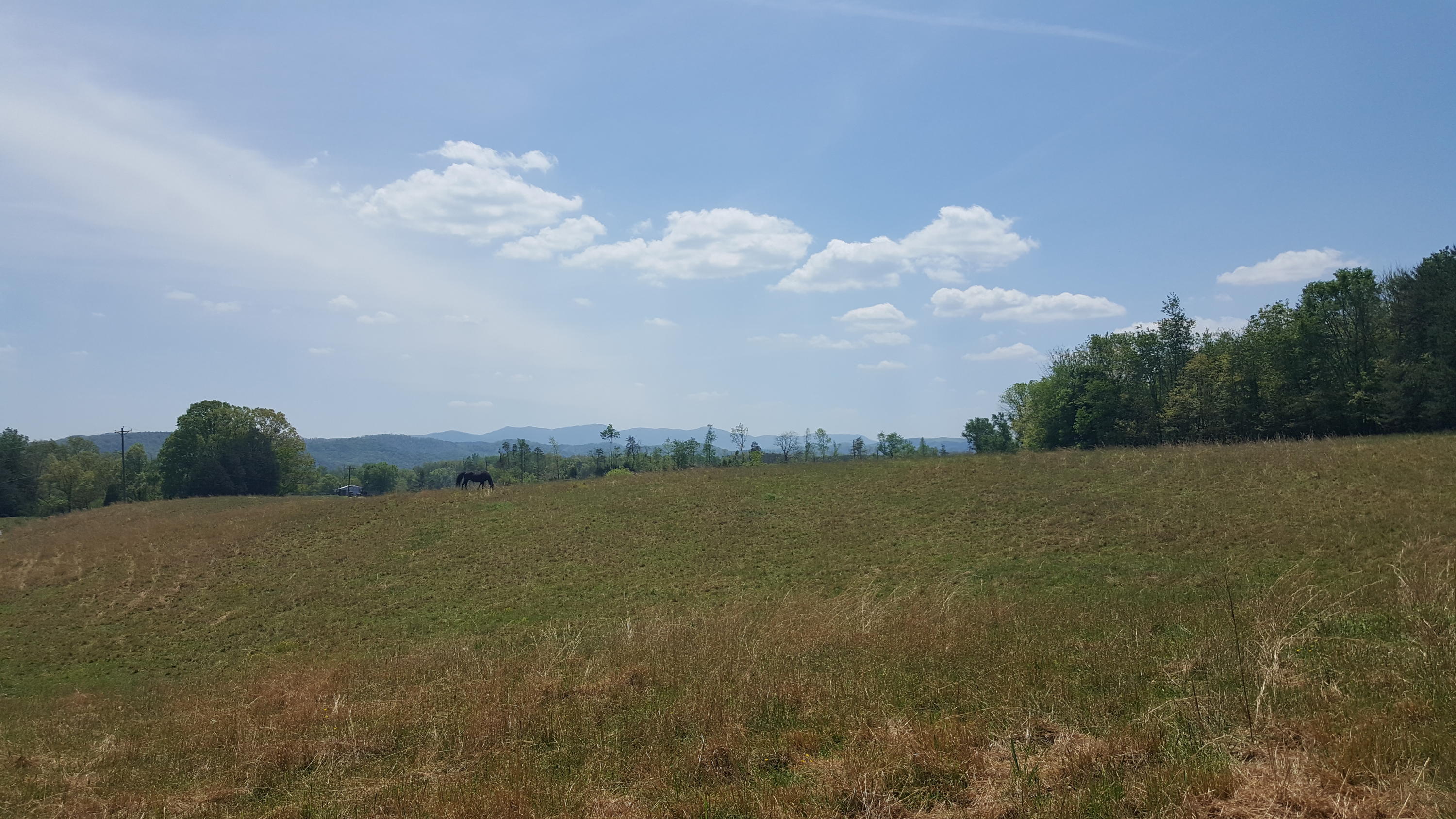 1 Fairview Road Tellico Plains, TN 37385 - Photo 27 of 34 20180502_131429