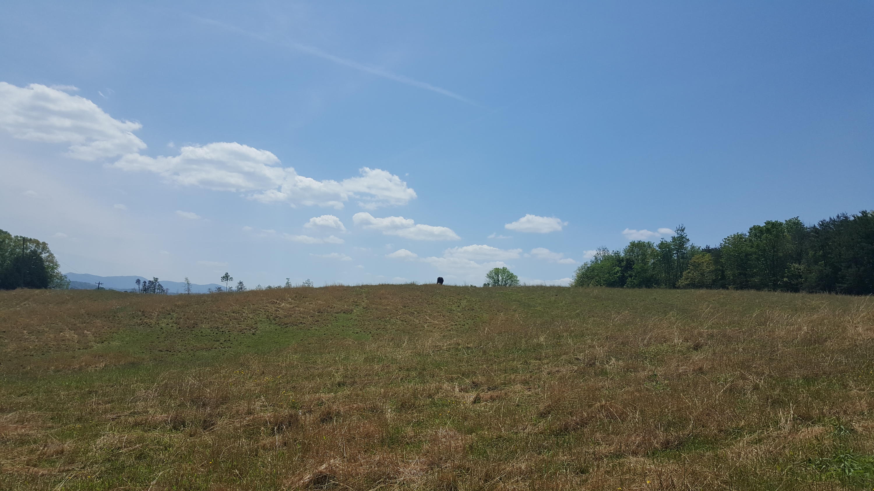 1 Fairview Road Tellico Plains, TN 37385 - Photo 31 of 34 20180502_131539