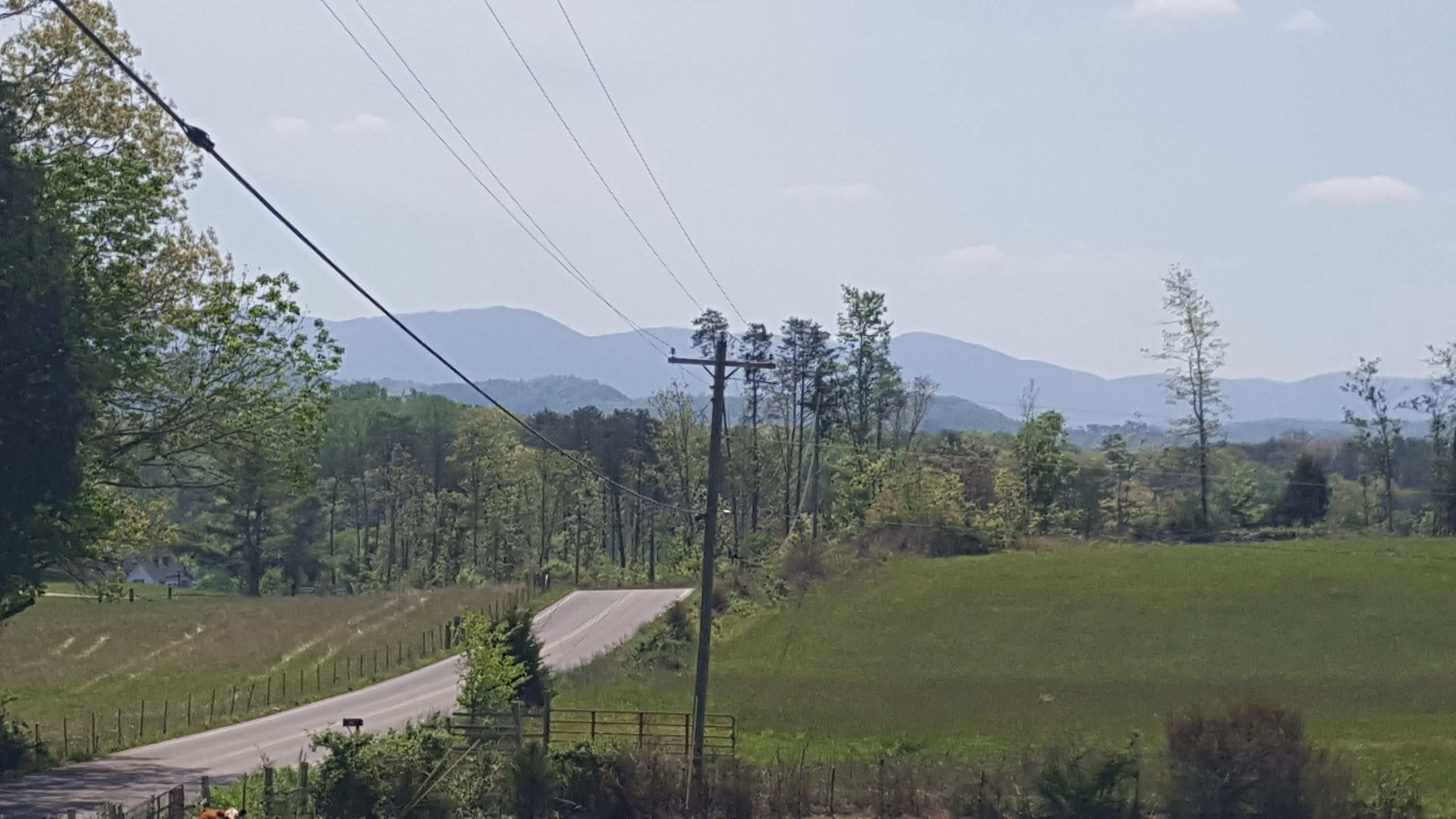 1 Fairview Road Tellico Plains, TN 37385 - Photo 10 of 34 20180502_130451