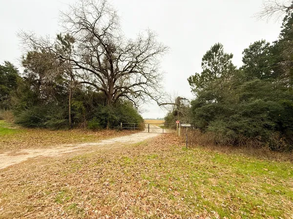 a view of a yard with an trees