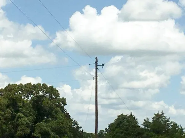 a backyard of a house