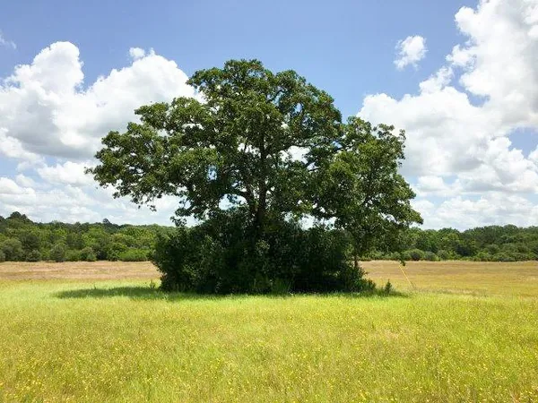 a view of an outdoor space and swimming pool