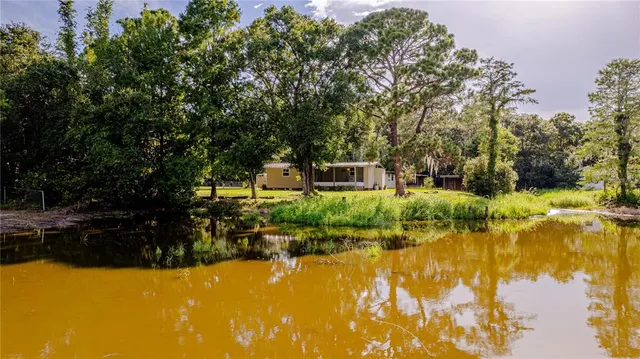 a view of a pathway both side of yard