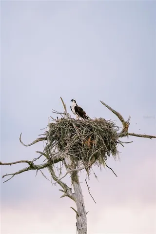 $100,000 | 415 1st Street, Kenansville, FL 34739