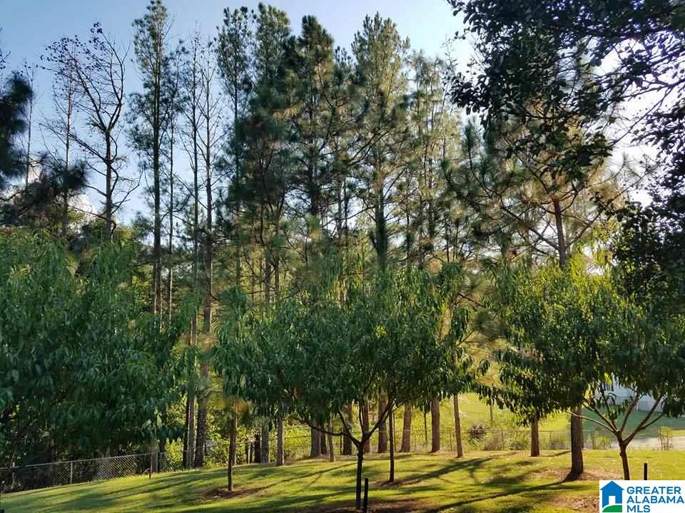 6053 Tyler Loop Road Pinson, AL 35126 - Photo 2 of 9