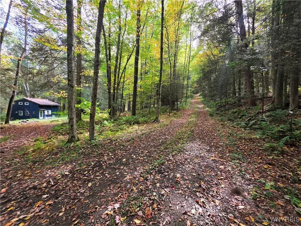 $130,000 | 7629 Russell Hill Road, Caneadea, NY 14717