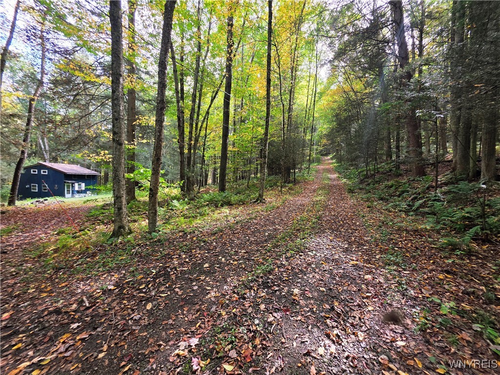 7629 Russell Hill Road Caneadea, NY 14717 - Photo 32 of 48