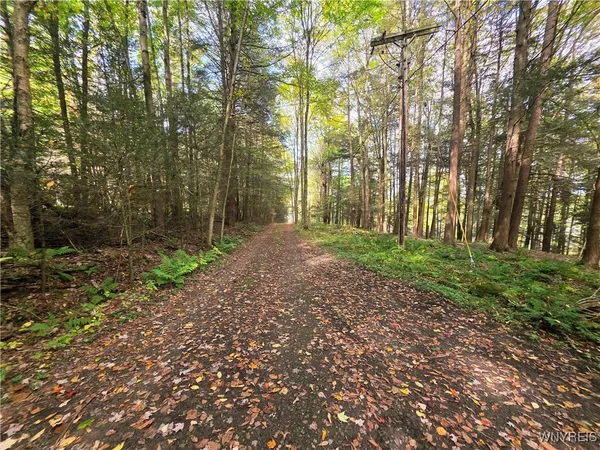 $130,000 | 7629 Russell Hill Road, Caneadea, NY 14717