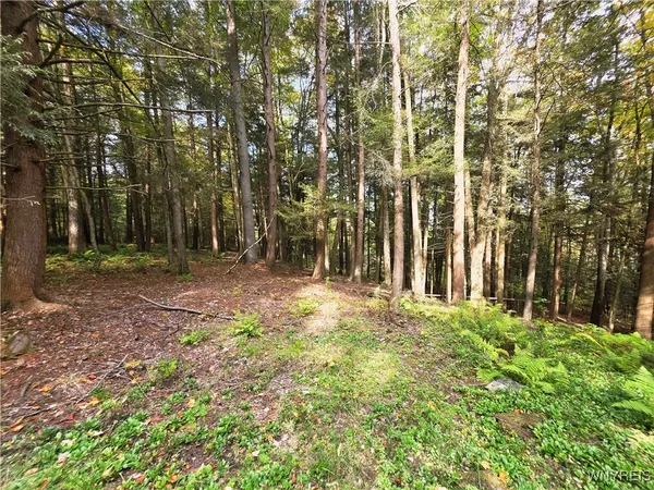 $130,000 | 7629 Russell Hill Road, Caneadea, NY 14717