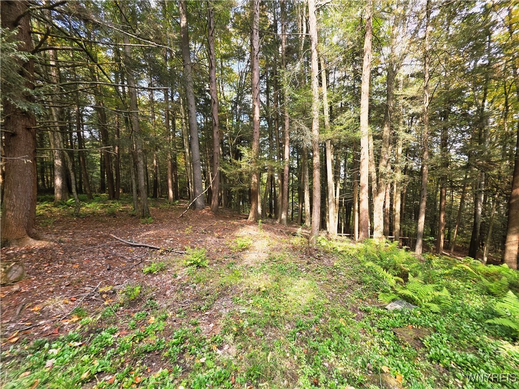 7629 Russell Hill Road Caneadea, NY 14717 - Photo 35 of 48