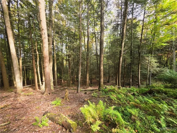 $130,000 | 7629 Russell Hill Road, Caneadea, NY 14717