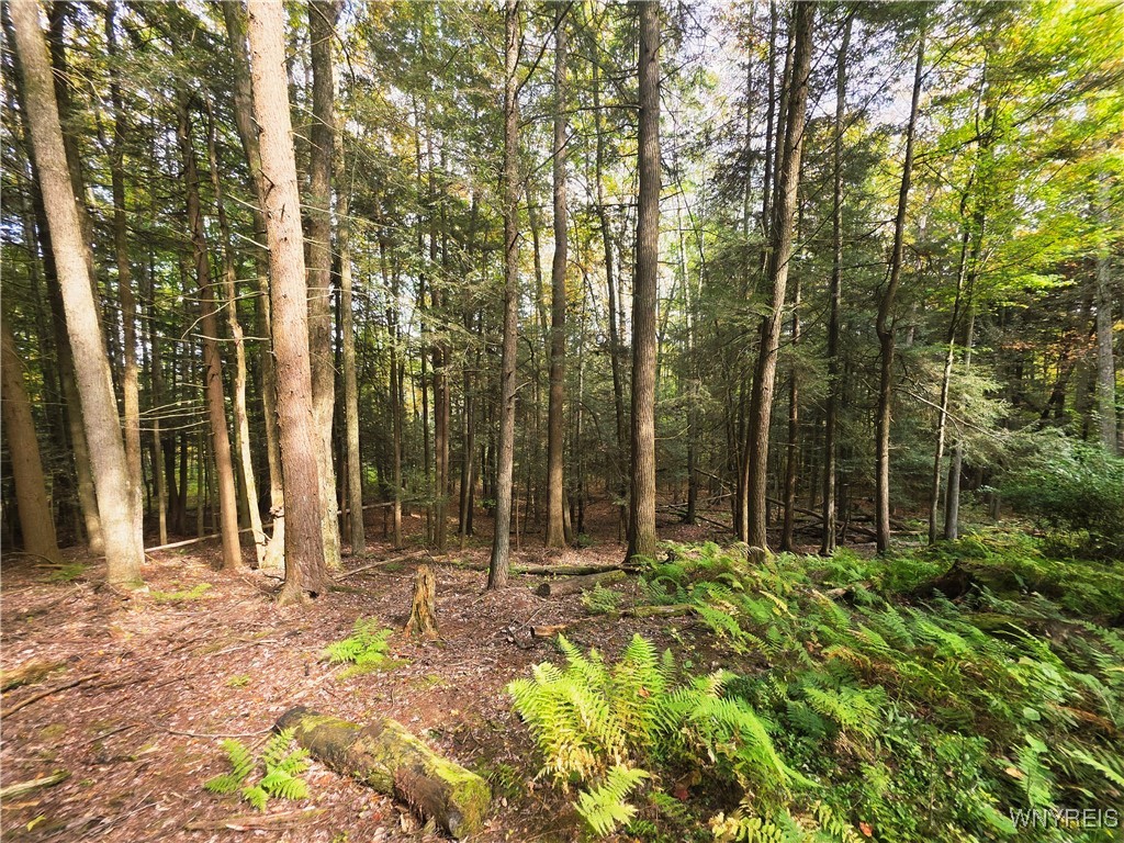 7629 Russell Hill Road Caneadea, NY 14717 - Photo 36 of 48