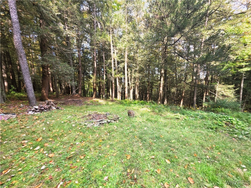 7629 Russell Hill Road Caneadea, NY 14717 - Photo 37 of 48