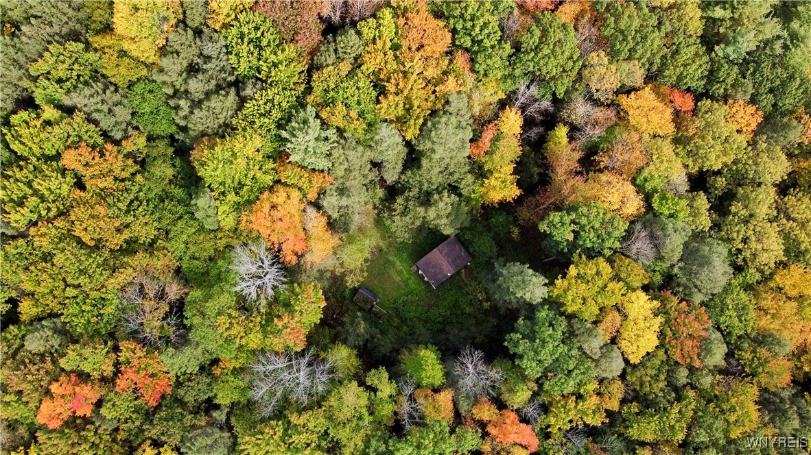 7629 Russell Hill Road Caneadea, NY 14717 - Photo 42 of 48