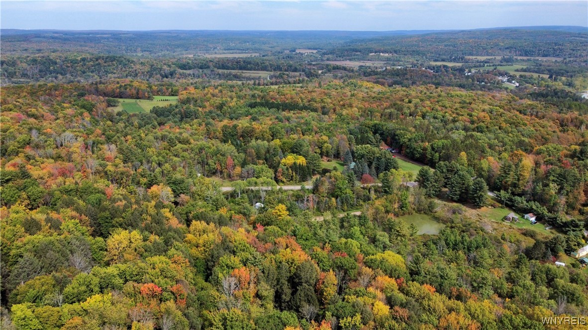 7629 Russell Hill Road Caneadea, NY 14717 - Photo 46 of 48