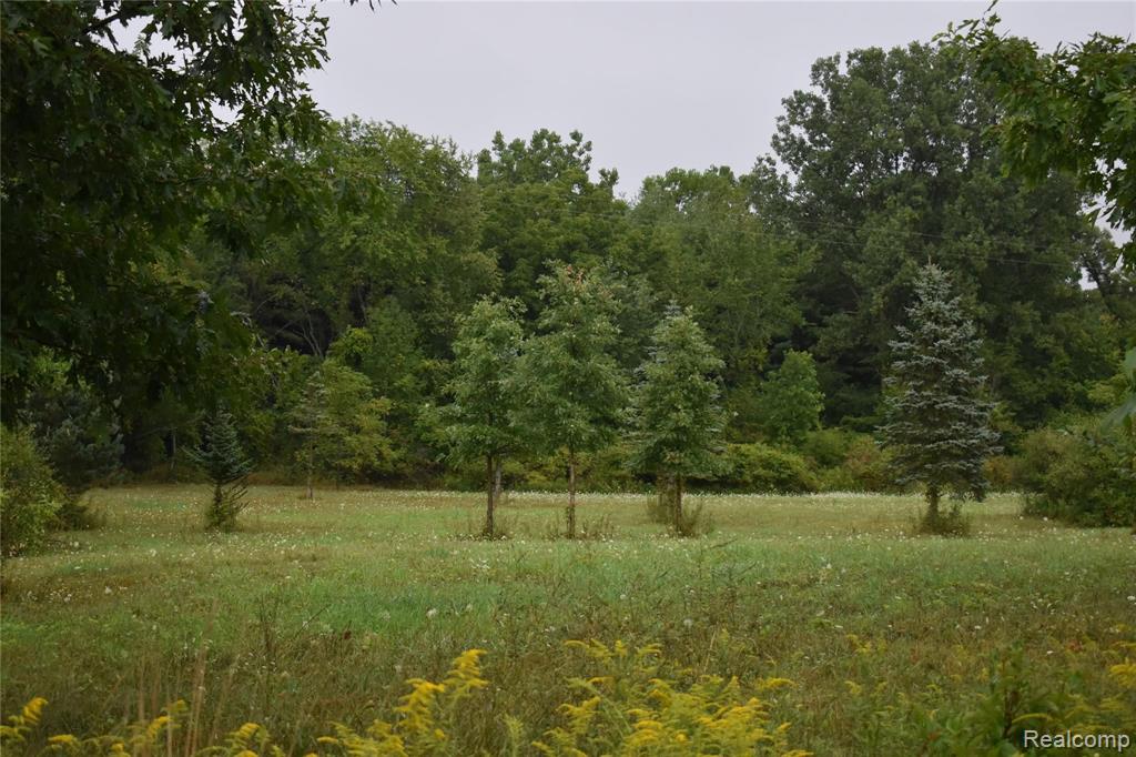 0 West Mohrle Road Fowlerville, MI 48836 - Photo 2 of 4
