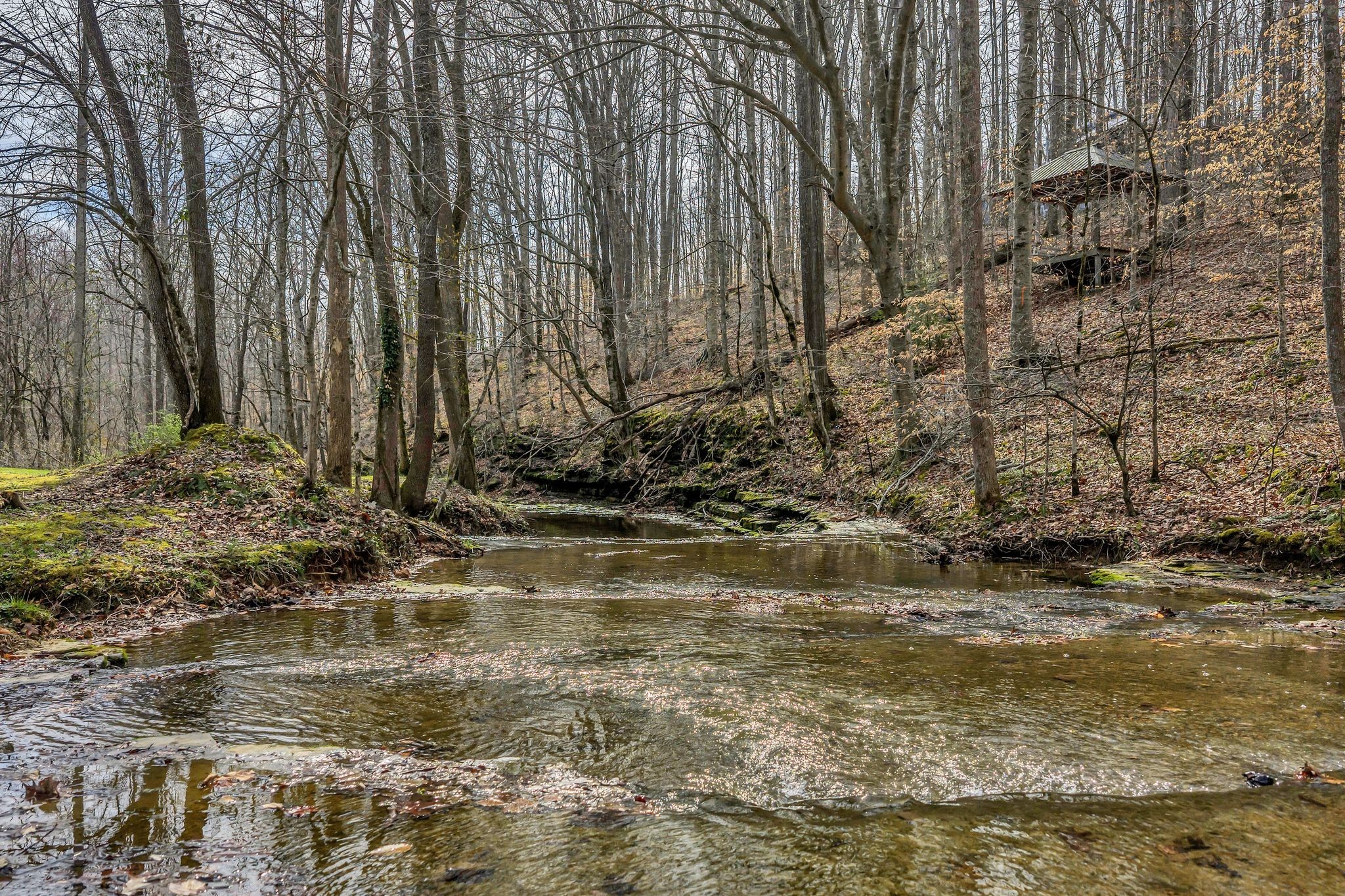 7575 King Road Fairview, TN 37062 - Photo 67 of 68