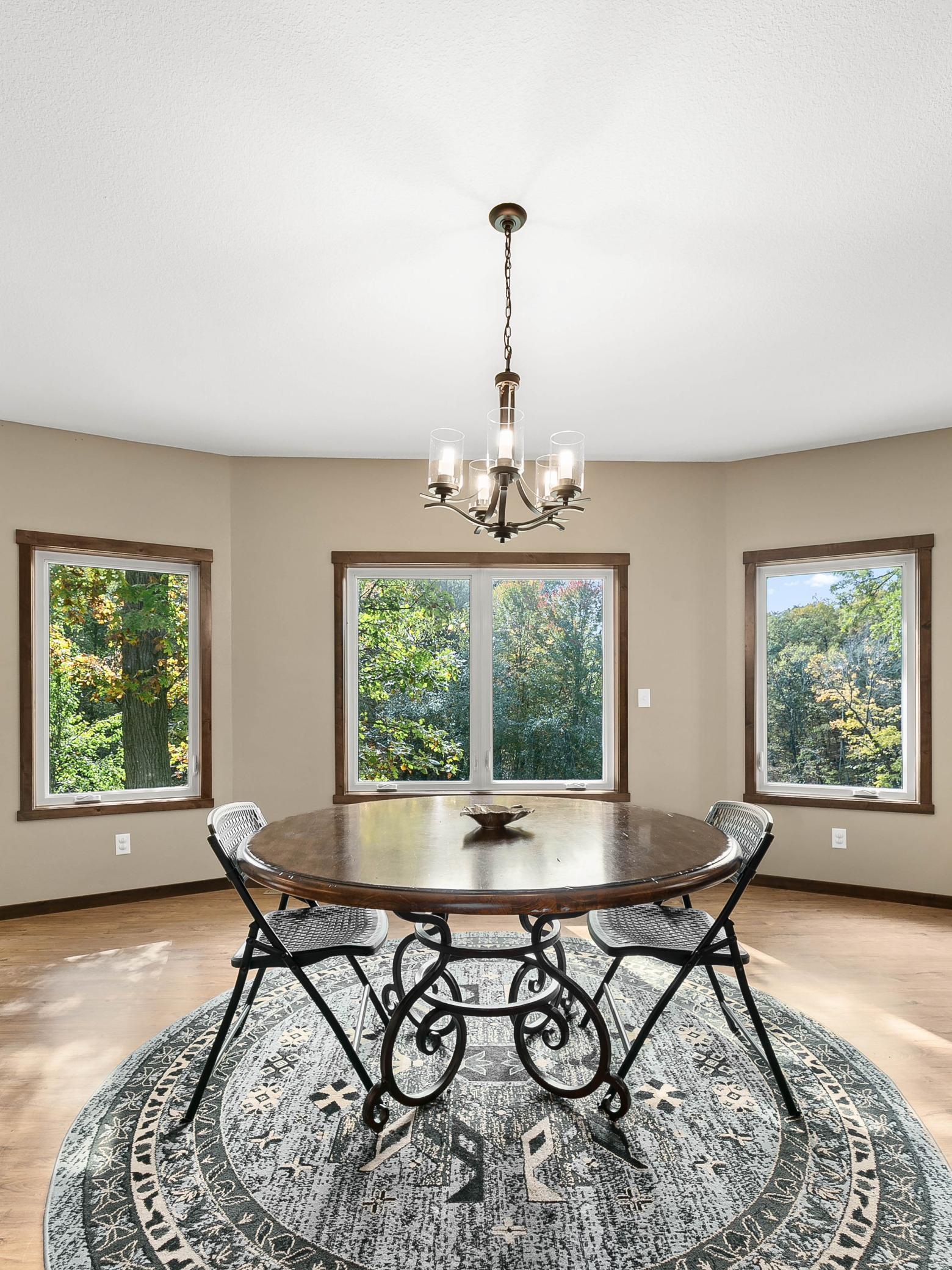 31148 County Road 50 Avon, MN 56310 - Photo 12 of 46 Gallery Image 12