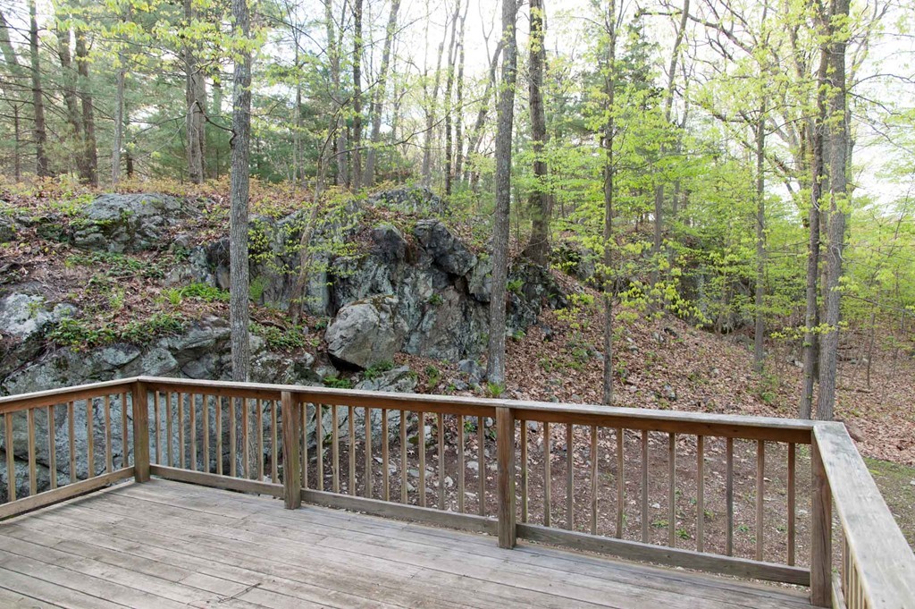 159 Chickering Road Dedham, MA 02026 - Photo 3 of 27 Gallery Image 3