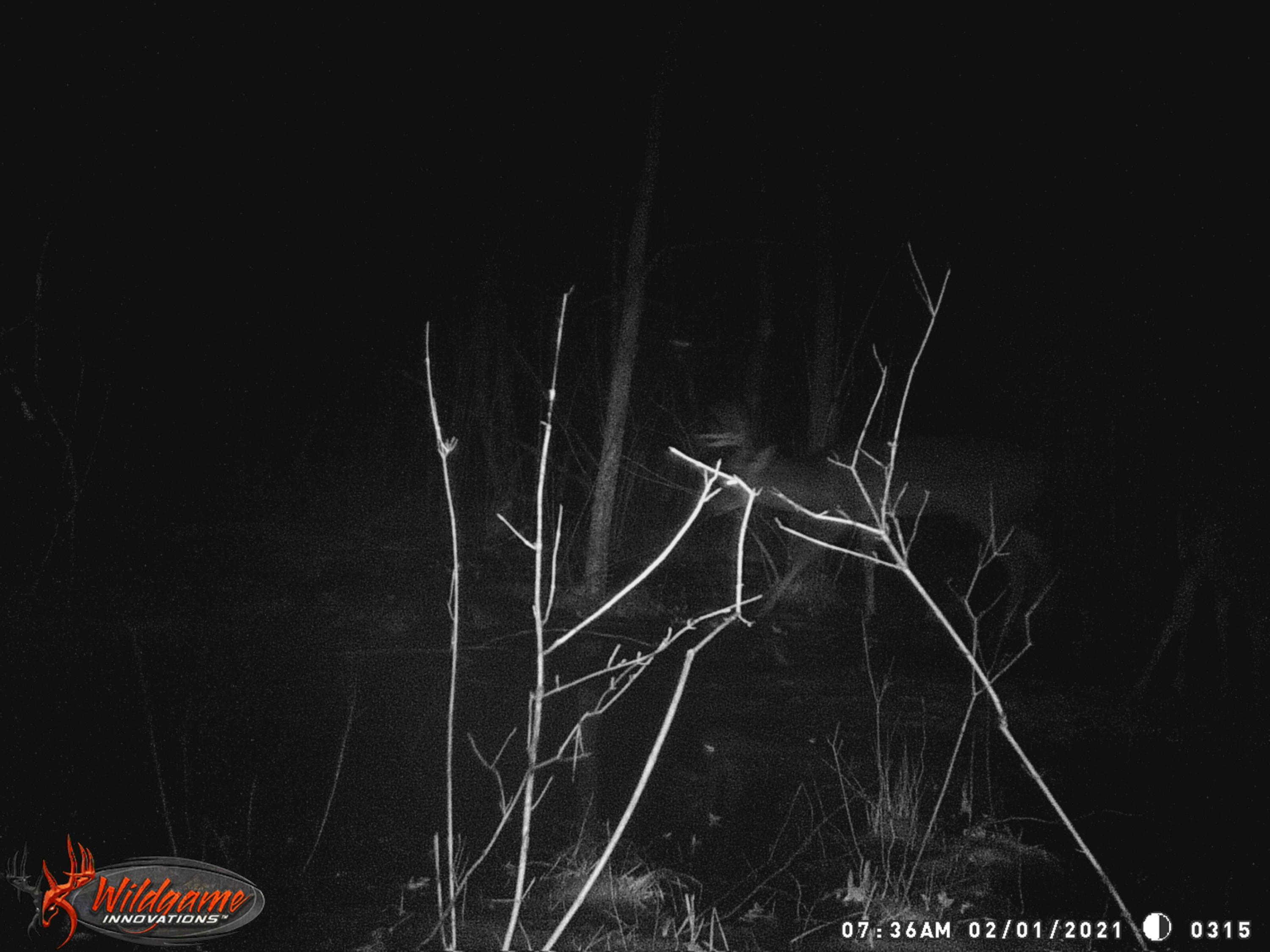 0 Pine Top Road Bainbridge, OH 45612 - Photo 25 of 27 Gallery Image 25