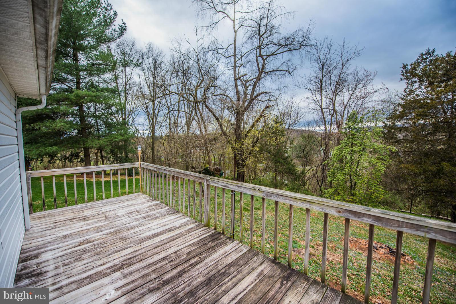 12 Spring Street Luray, VA 22835 - Photo 25 of 30 Exterior (Rear)
