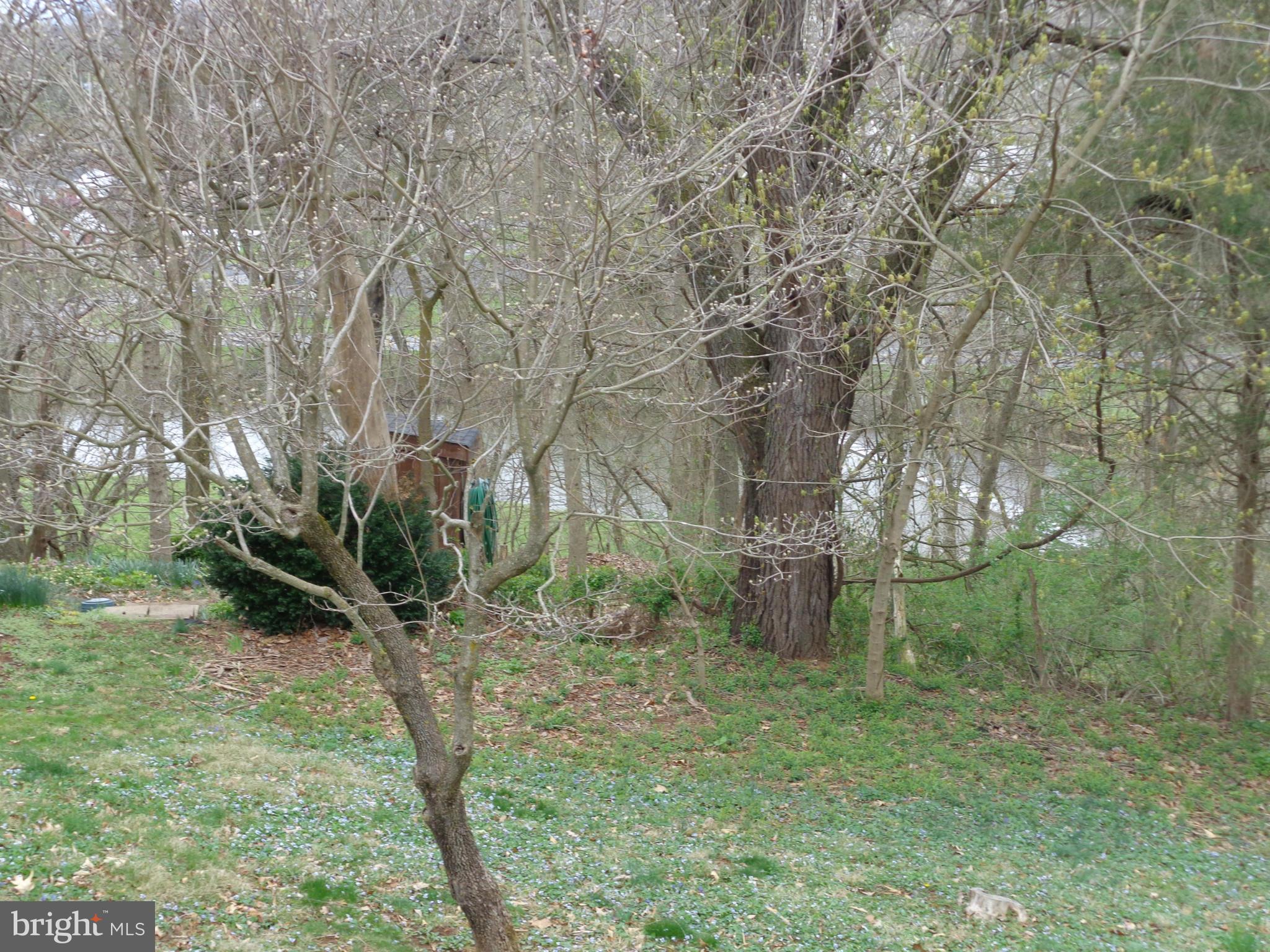 12 Spring Street Luray, VA 22835 - Photo 29 of 30 View