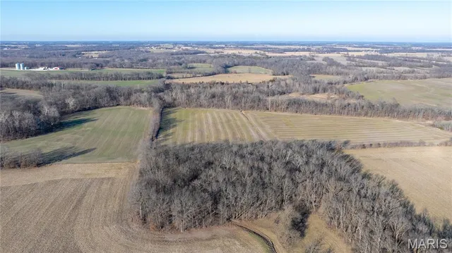 $650,000 | 346 Gouldman Road, Montgomery City, MO 63361