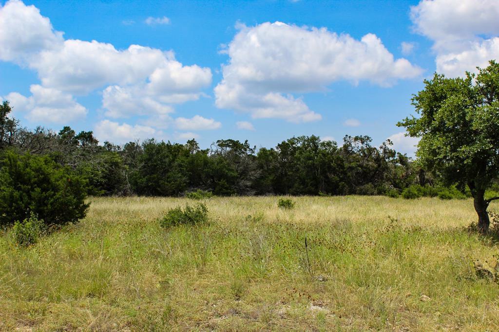 121 Paloma Ranch Rd Mountain Mountain Home, TX 78058 - Photo 3 of 6