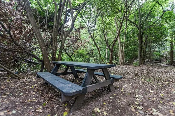 $800 | 7201 Wood Hollow Drive, Unit 322, Austin, TX 78731