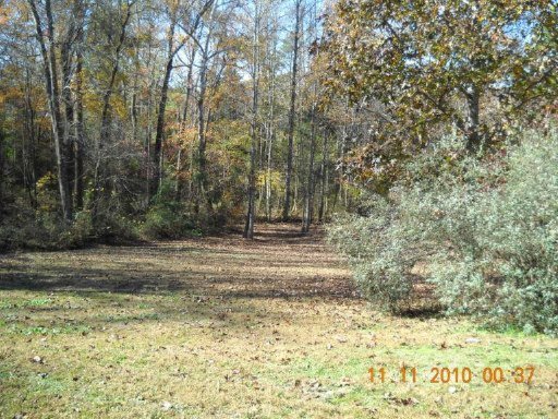 158 County Road 189 Decatur, TN 37322 - Photo 14 of 20 Additional Photo