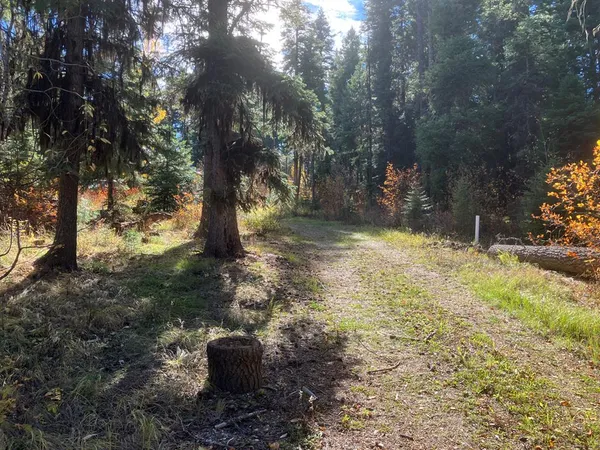 $95,500 | 541 West Mountain Road, Unit 58, Cascade, ID 83611