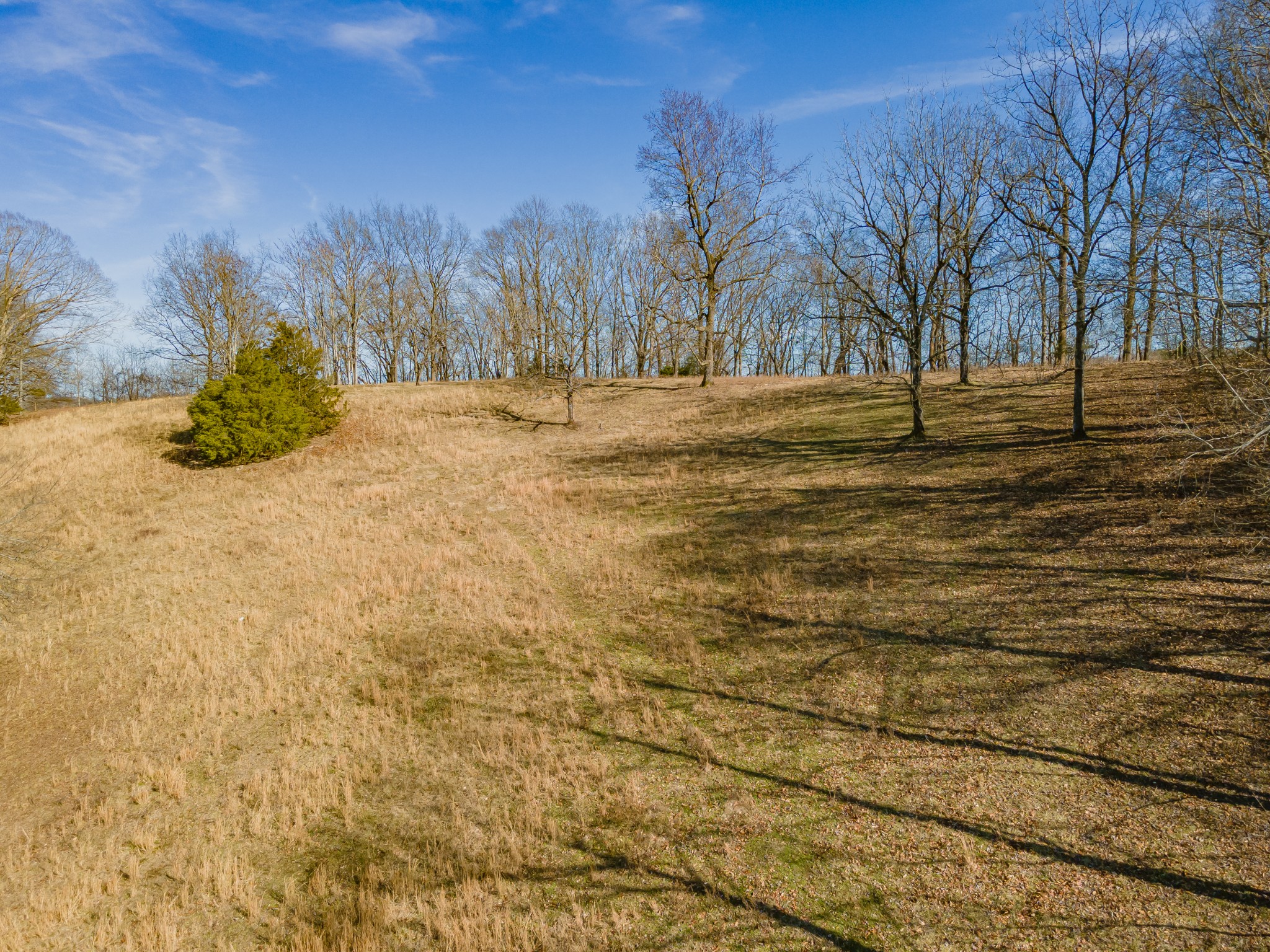0 Hurricane Creek Road Lawrenceburg, TN 38464 - Photo 17 of 20