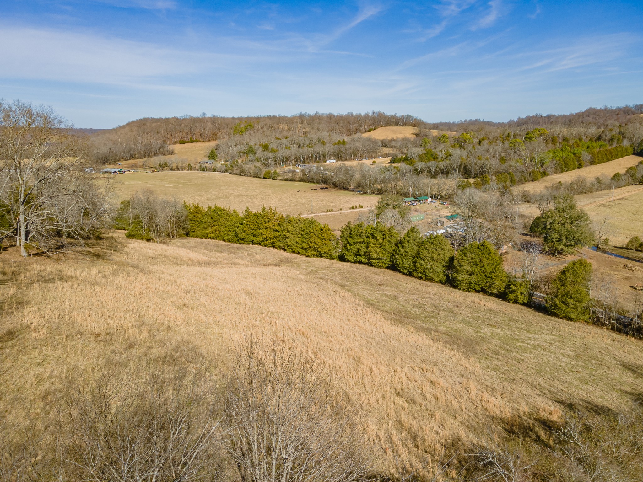 0 Hurricane Creek Road Lawrenceburg, TN 38464 - Photo 19 of 20