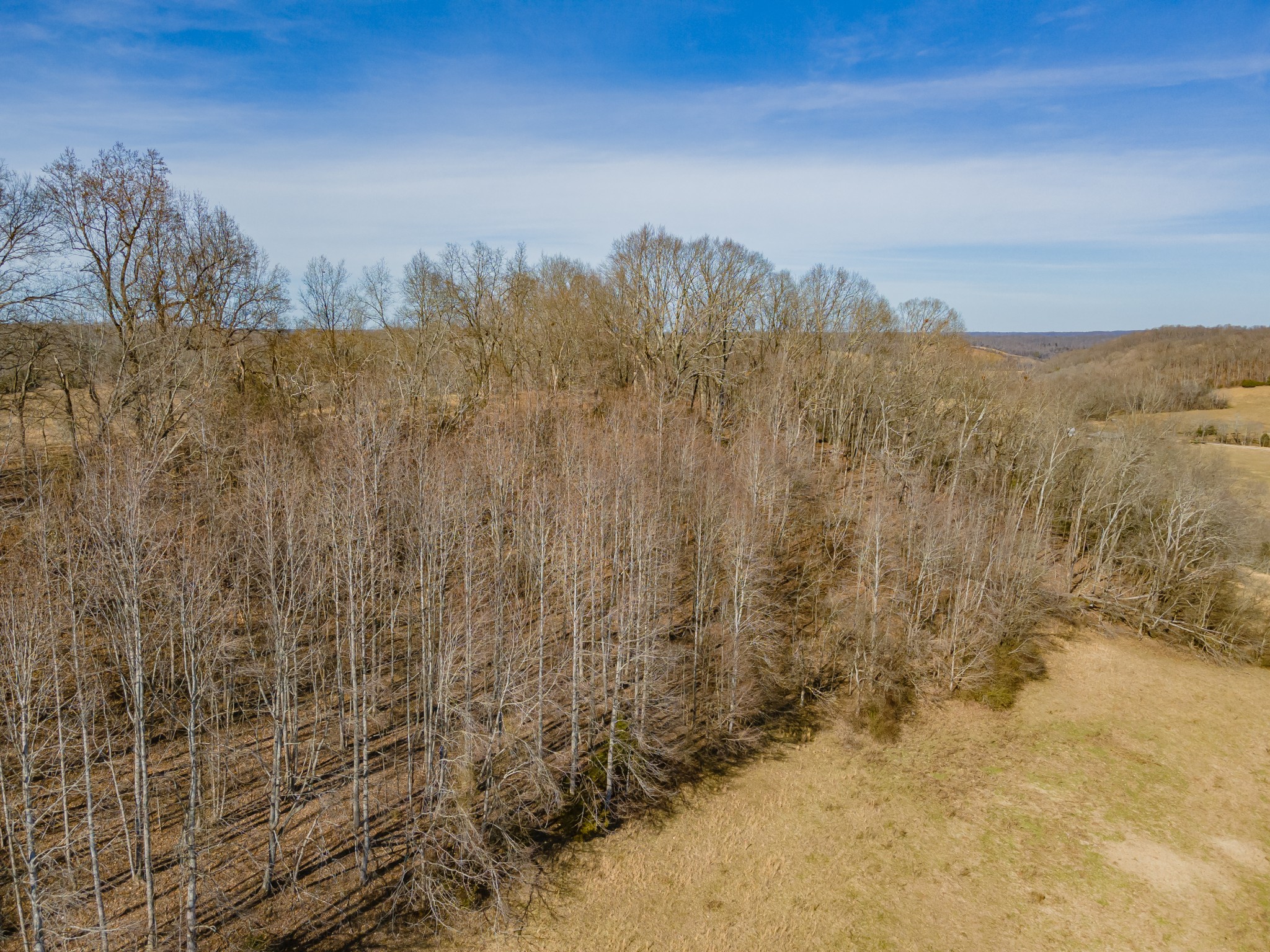0 Hurricane Creek Road Lawrenceburg, TN 38464 - Photo 20 of 20